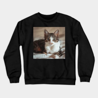 Noa Crewneck Sweatshirt